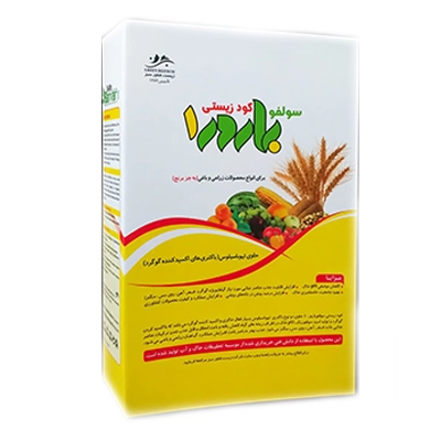 تیوباسیلوس